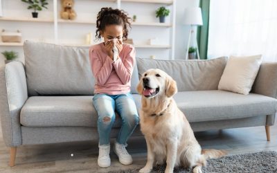 How Your Air Conditioning System Helps with Seasonal Allergies